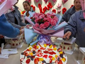 米兰体育线上平台-米兰体育(中国)
举办三八妇女节活动